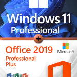 Microsoft Windows 11 Professional + Microsoft Office 2019 Professional Plus license for 3 devices