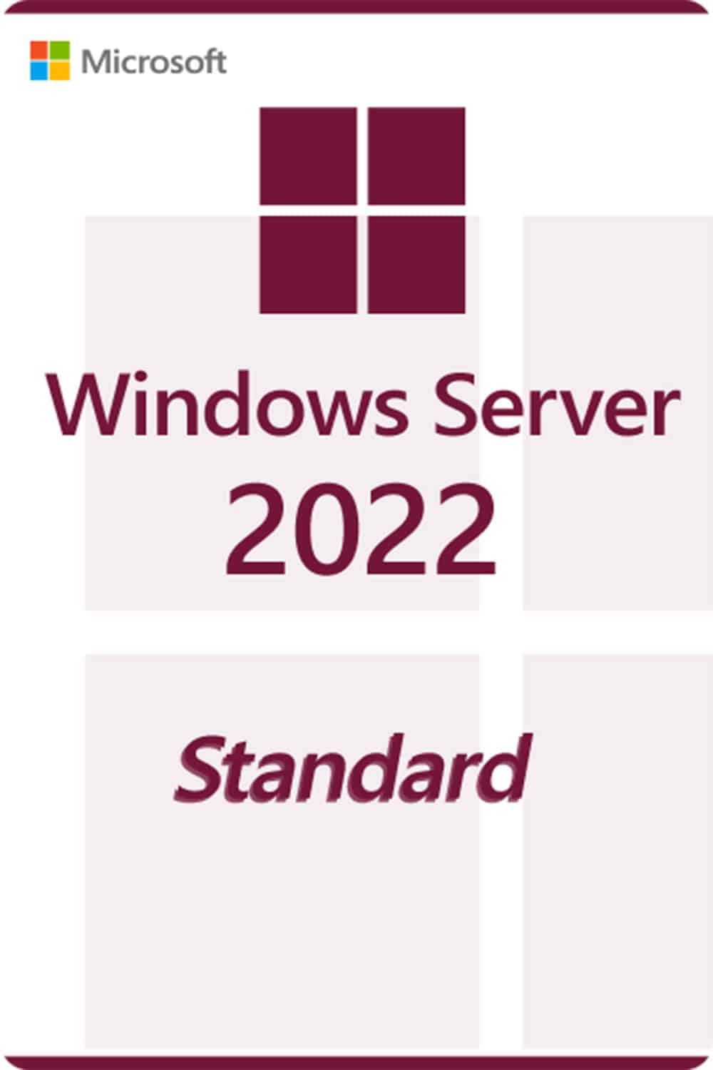 Microsoft Windows Server 2022 Standard