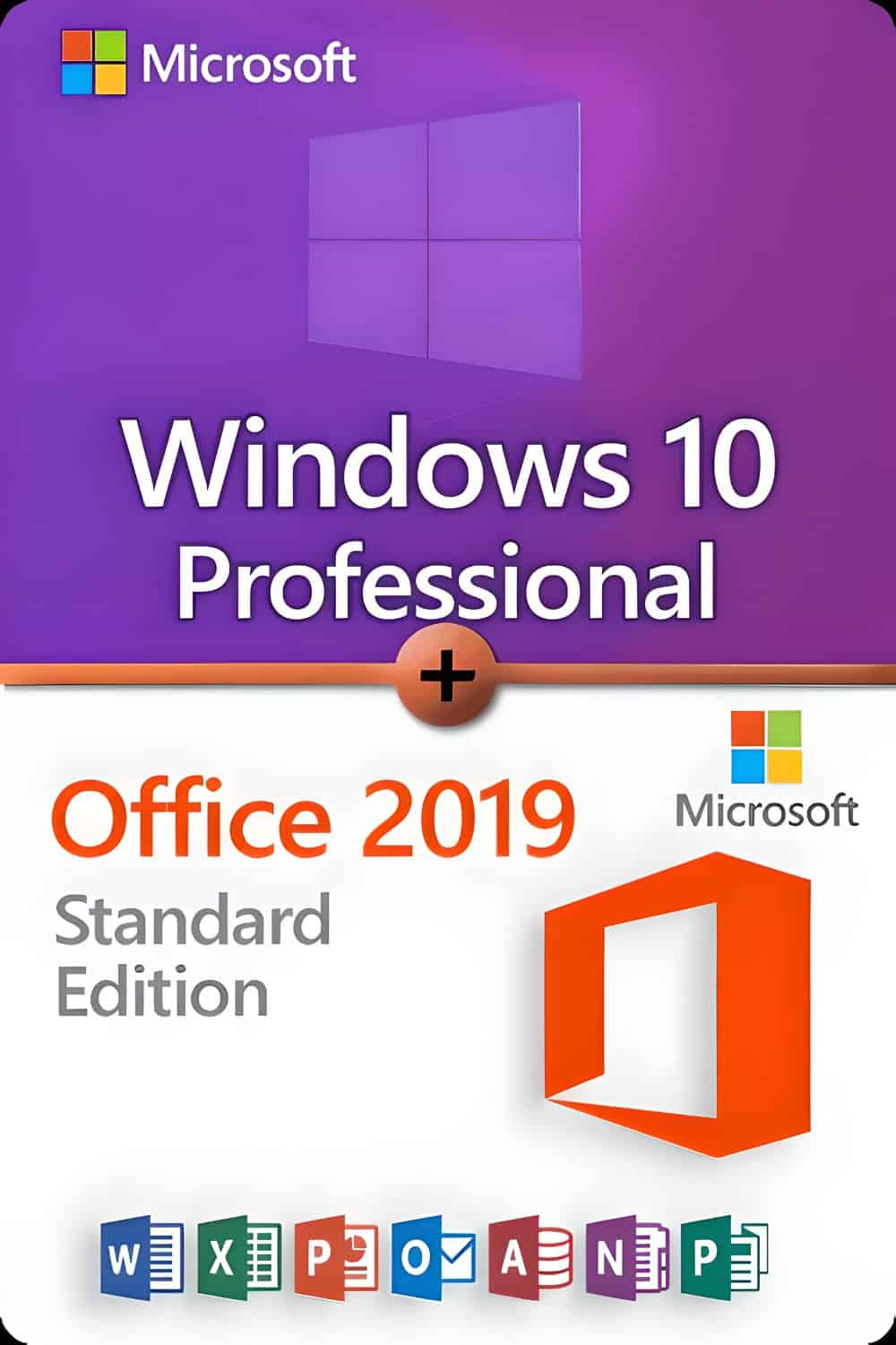 Microsoft Windows 10 Professional + Microsoft Office 2019 Standard Lizenz für 3 PC