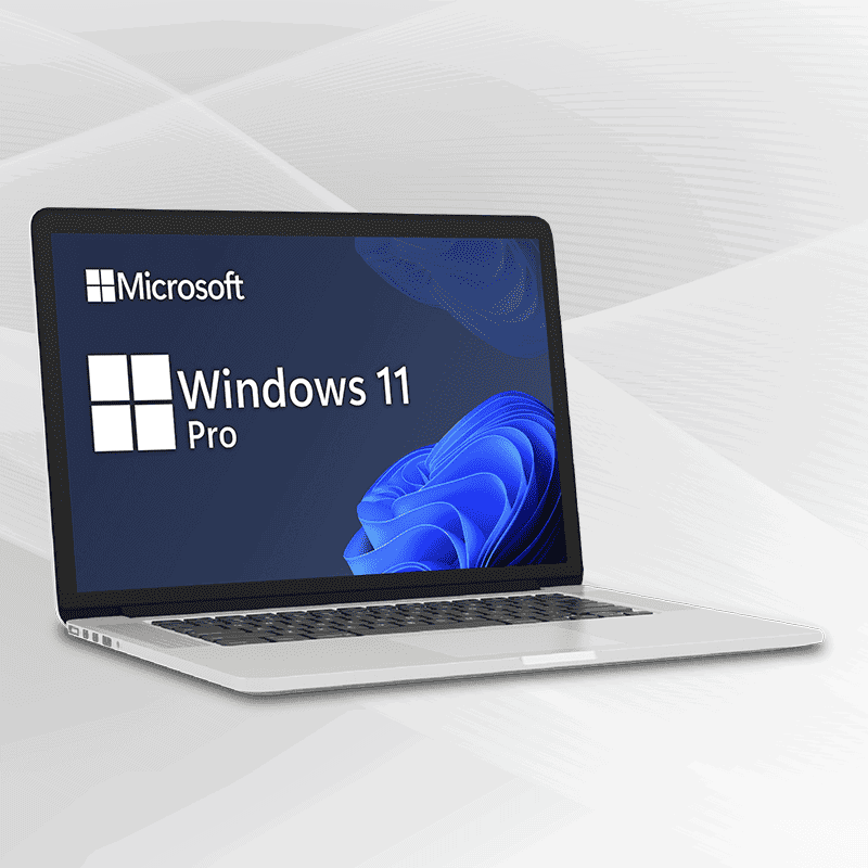 Microsoft Windows 11 Professional + Microsoft Office 2021 Standard Lizenz für 3 PC